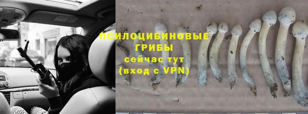 a pvp Абаза