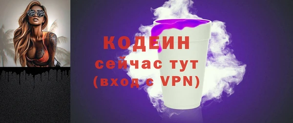 дживик Снежногорск