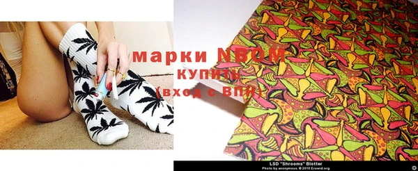 МДПВ Лагань